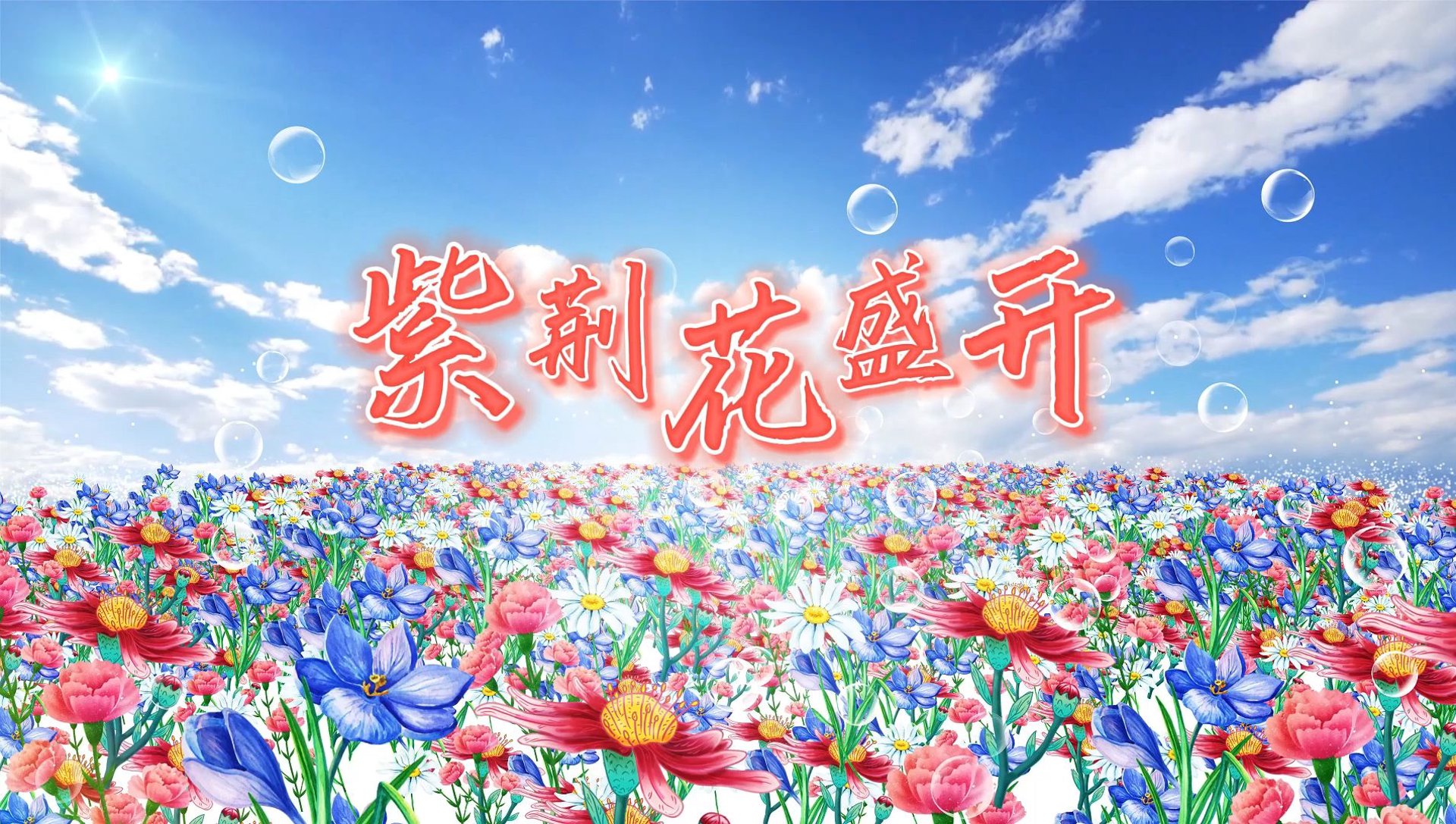盛开网络科技